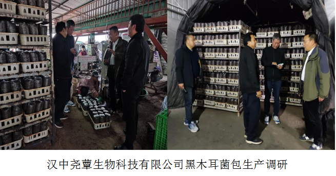 QQ图片20221115102600
