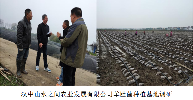 QQ图片20221115102603