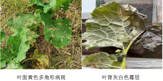 QQ图片20221115105639
