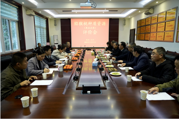 QQ图片20221117144323