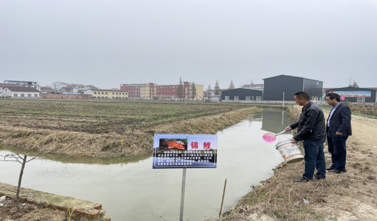 QQ图片20221117150512