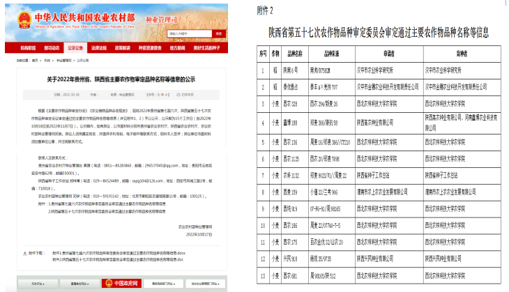 微信图片_20221121103246