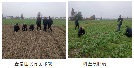 微信图片_20221122163227