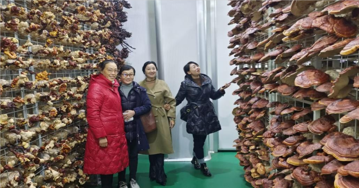 微信图片_20221209152046