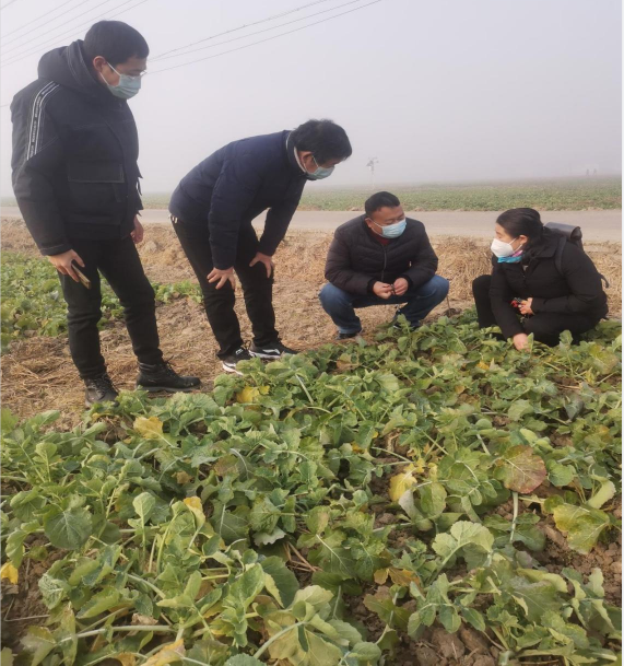 微信图片_20230111155037