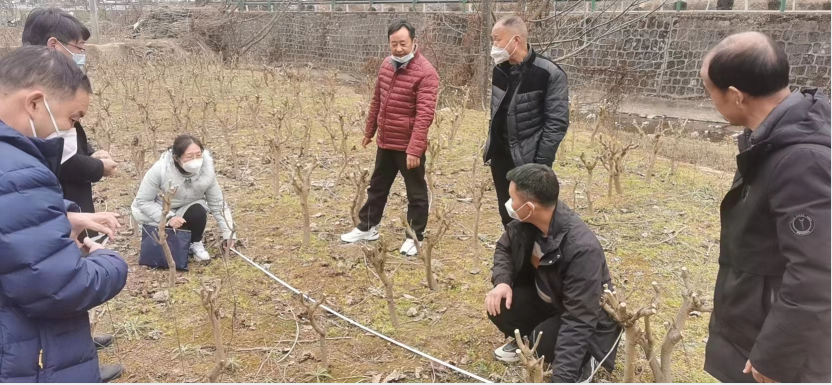 微信图片_20230113152102