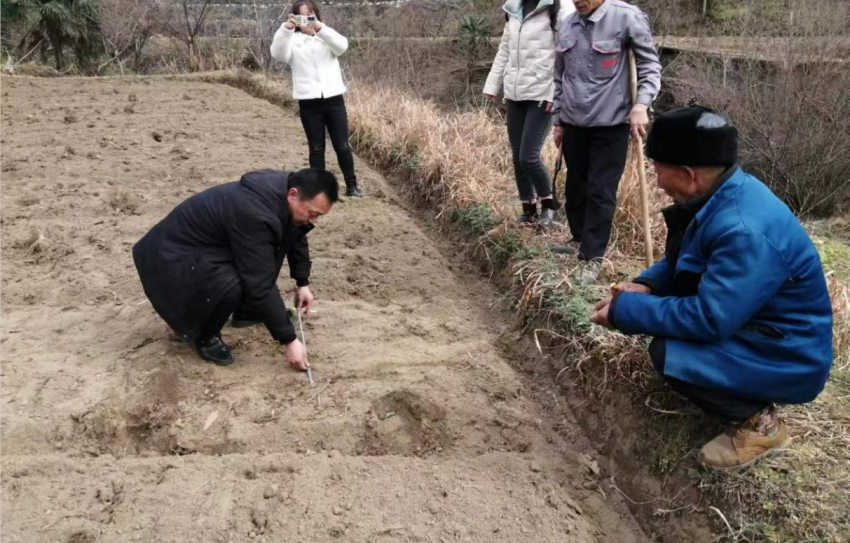 微信图片_20230217175805