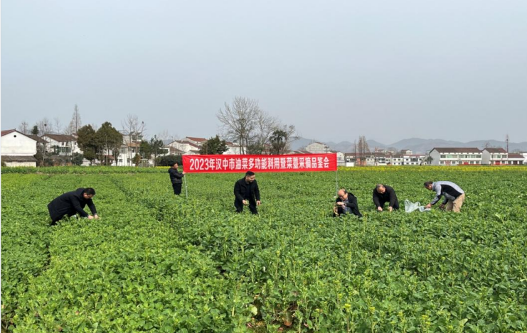 微信图片_20230302155017