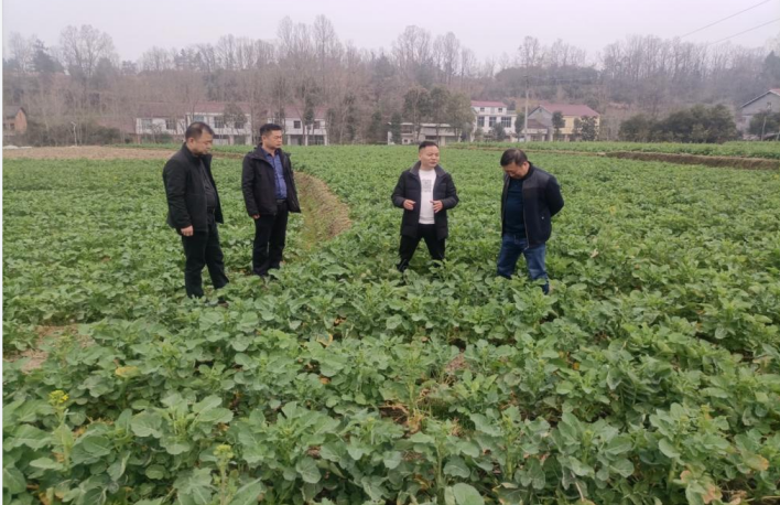 微信图片_20230302162105