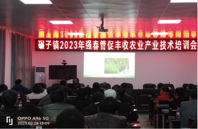 微信图片_20230302165100