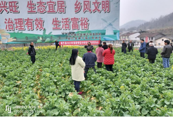 微信图片_20230302165111