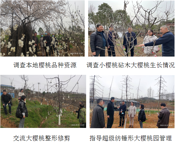 微信图片_20230303121001
