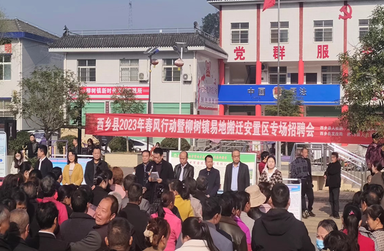 QQ截图20230308115328