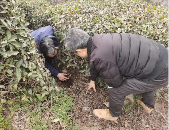 微信图片_20230310095624