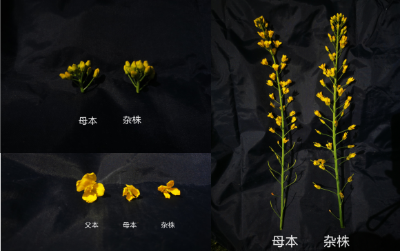 微信图片_20230410165119
