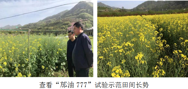 微信图片_20230410170300