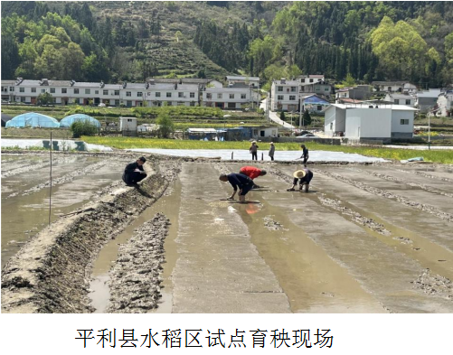 微信图片_20230410170311