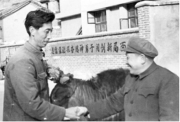 图片5