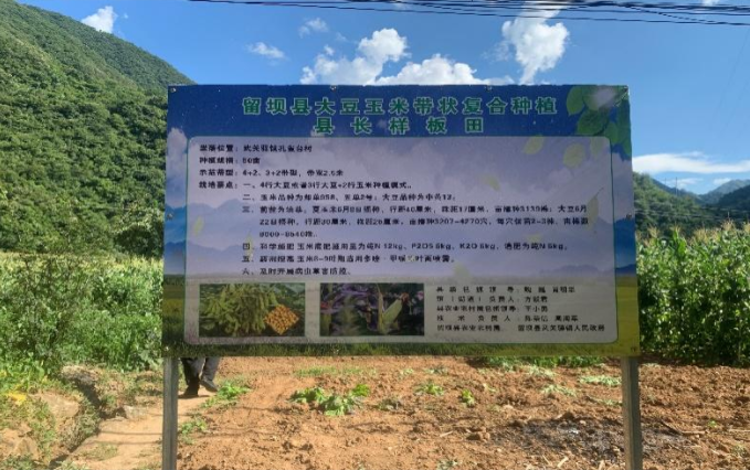 微信图片_20230810094355