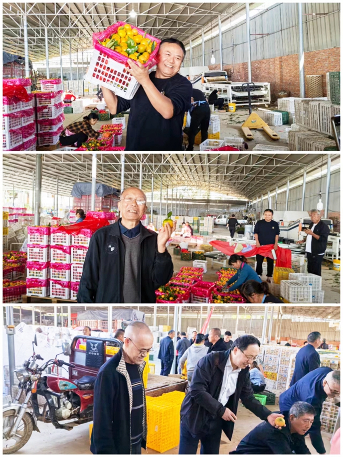 微信图片_20231016232143