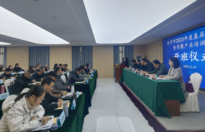 微信图片_20231117101953