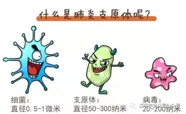 微信图片_20231123132516