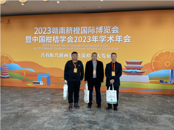 微信图片_20231204084622