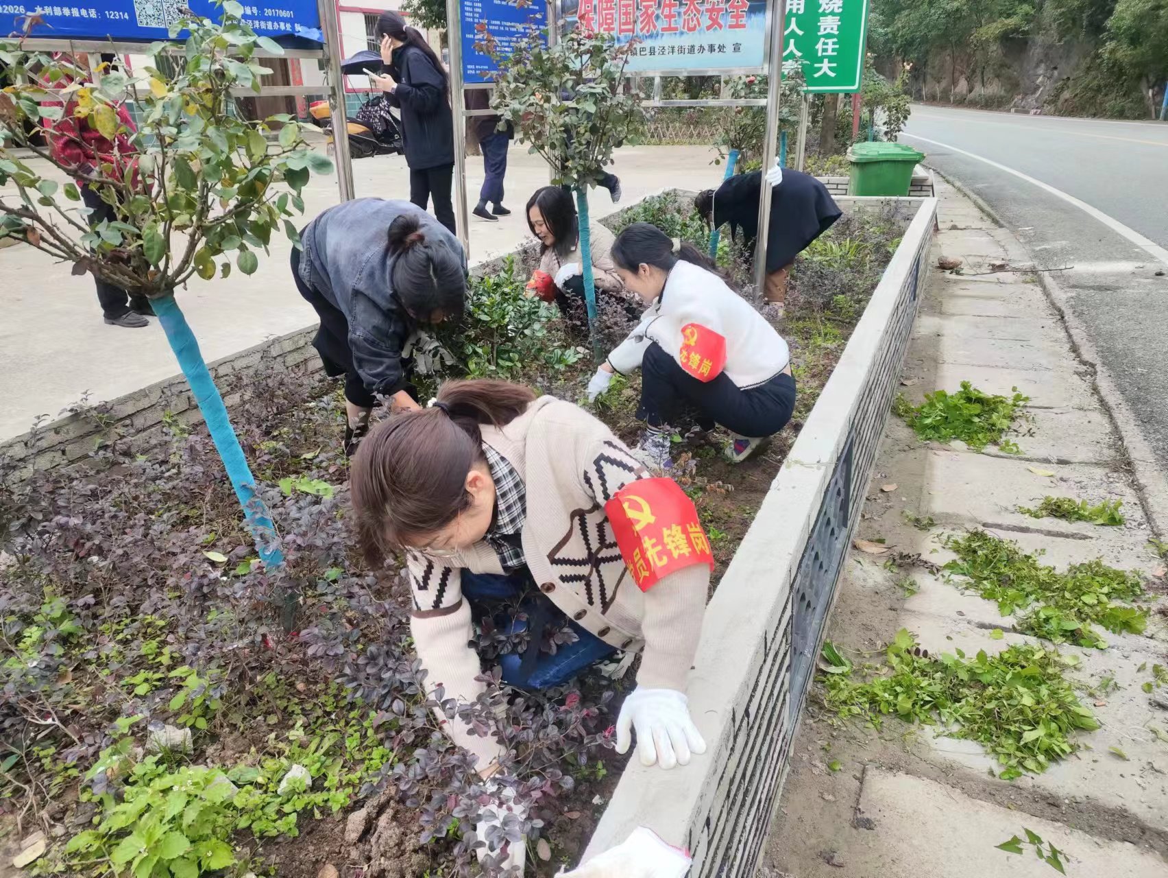 用勤劳双手建设美丽的家园活动