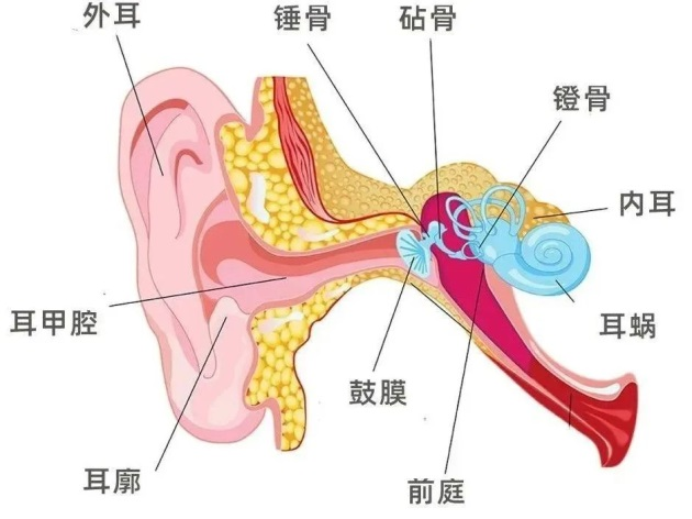 微信图片_20240304085843
