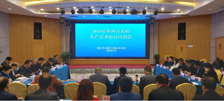 微信图片_20240325150532