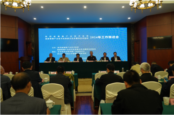 微信图片_20240422102320