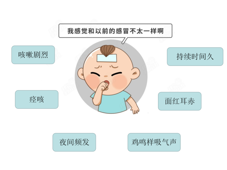 微信图片_20240514095650