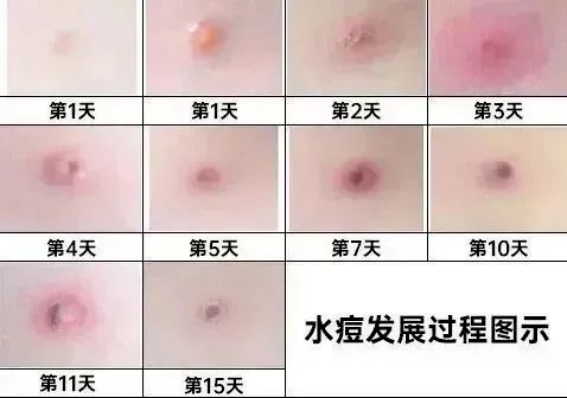 微信图片_20240514095637