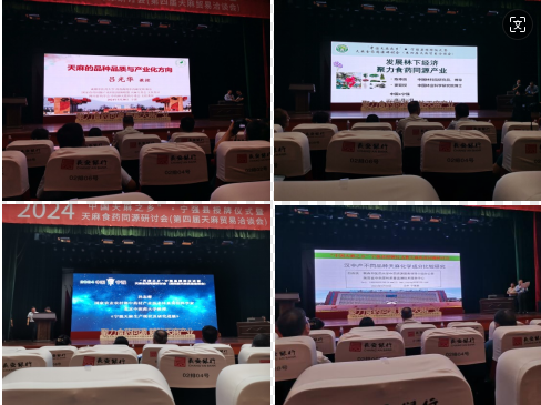 微信图片_20240612150829