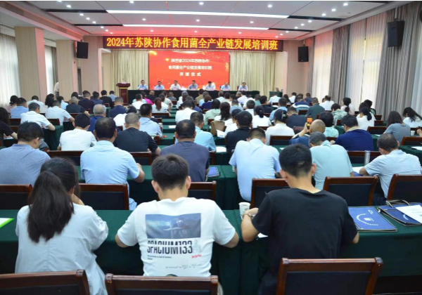 微信图片_20240612152651