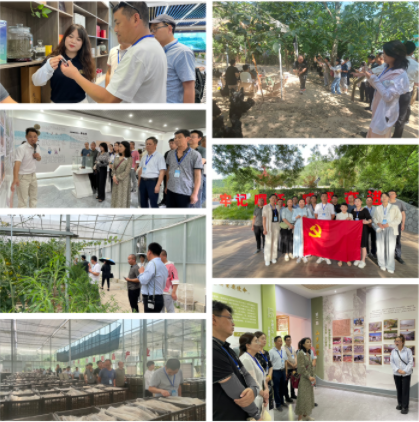 微信图片_20240620091518