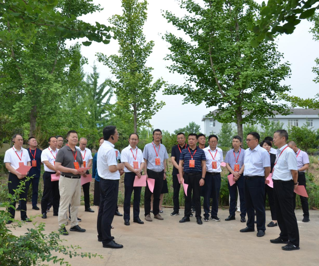 图片1 图片1