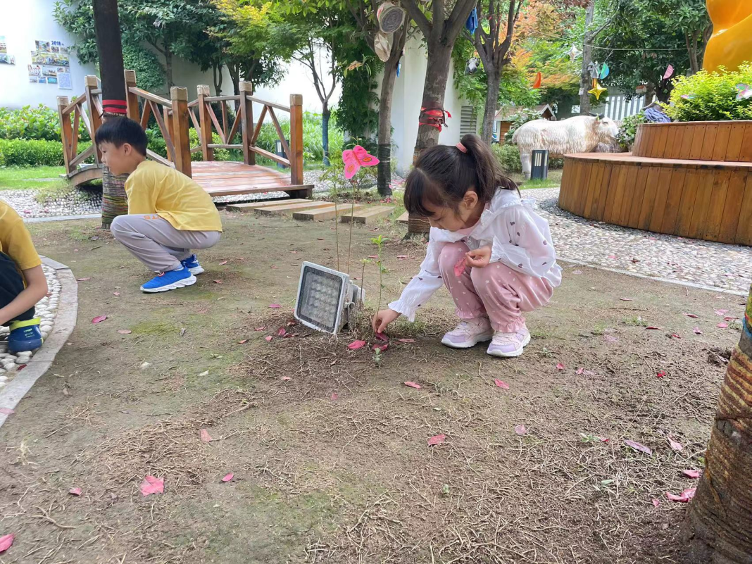 微信图片_20240715145157
