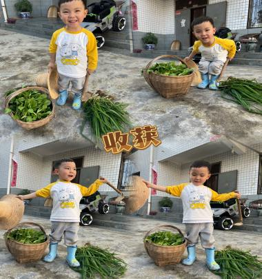 微信图片_20240716172105