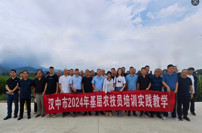 微信图片_20240805092753