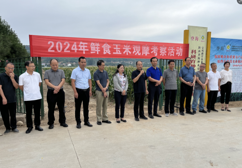 微信图片_20240906160535