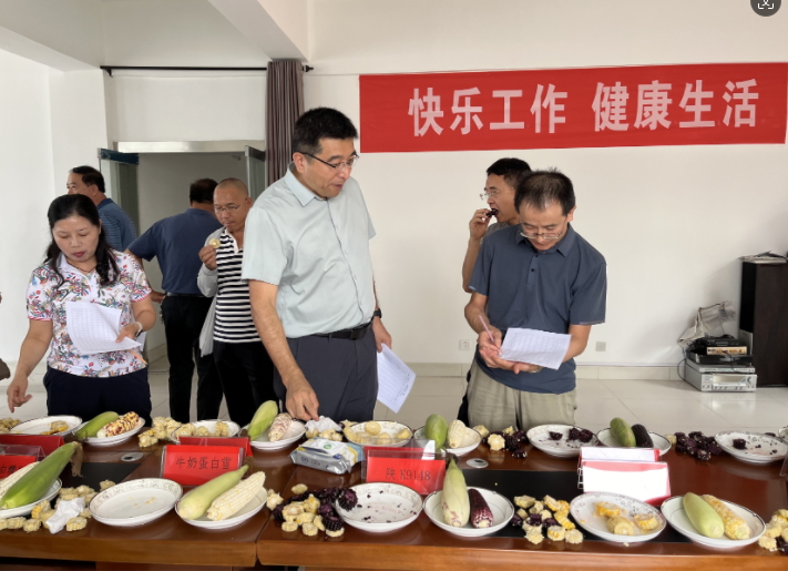 微信图片_20240906160540
