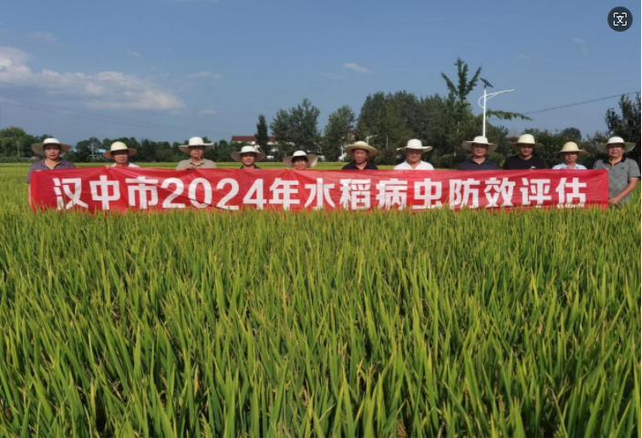 微信图片_20240906165139