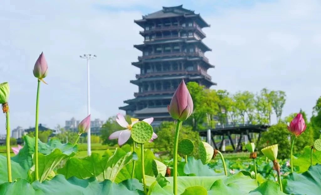 微信图片_20240911090826