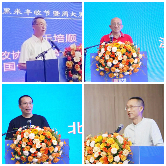 光影魔术手拼图1