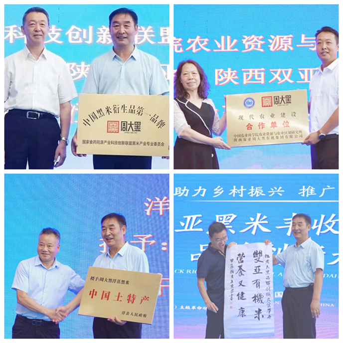 光影魔术手拼图3