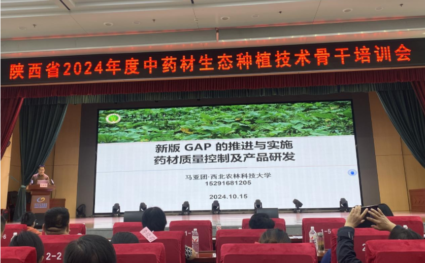 微信图片_20241021110748