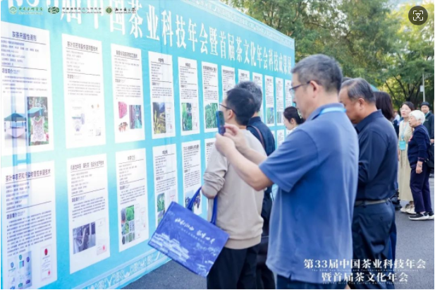 微信图片_20241025092149