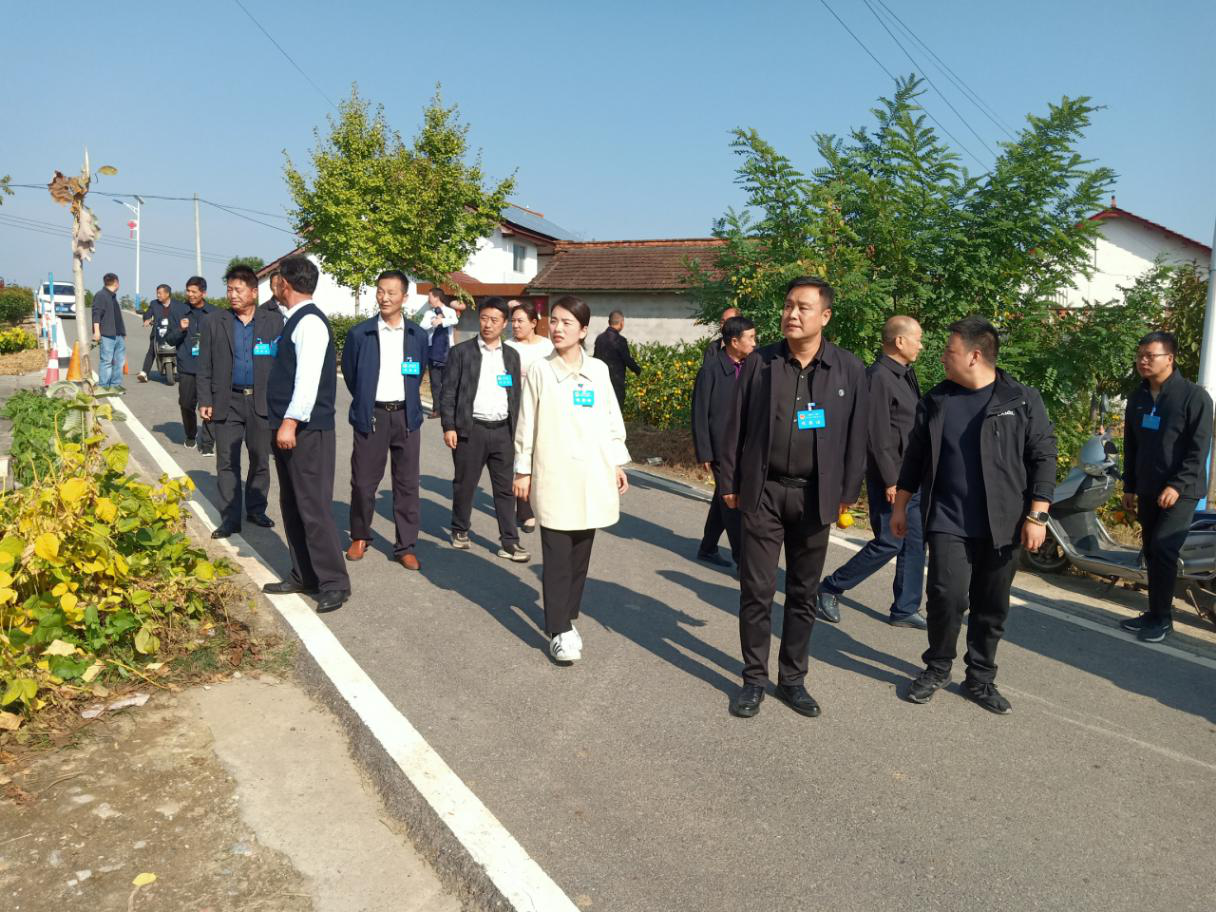 图片3 图片3
