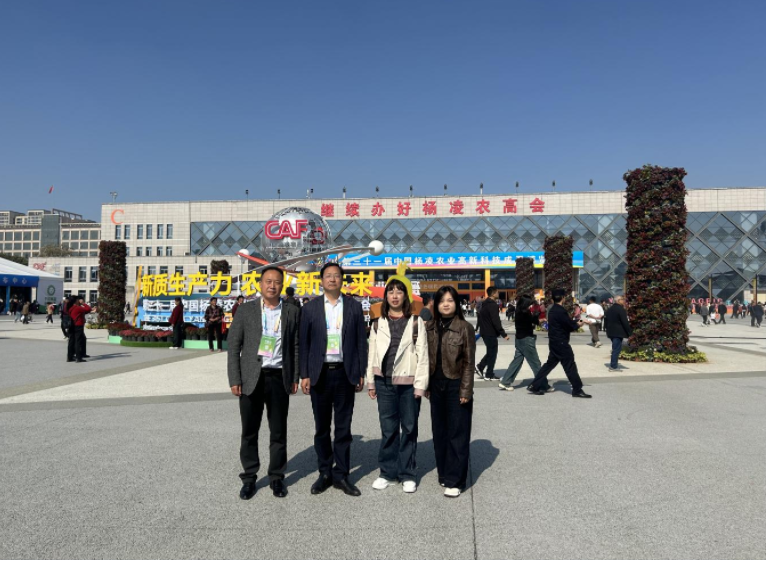 微信图片_20241101095412